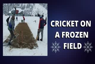 Kashmiri youth play cricket