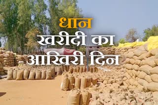 Last day of paddy purchasing in chhattisgarh