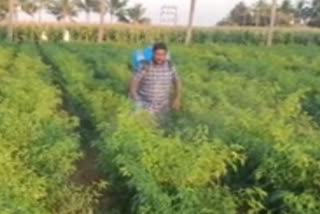 drip-irrigation-for-farmers