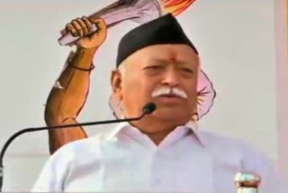 rss-chief