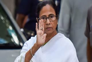 CM Mamata Banerjee visit New Horizon School in Hazra