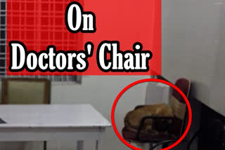 dog seating on doctors' chair  govt hospital doctors' chair  Mandla  Madhya Pradesh  Bamhani Community Health Centre  ഡോക്‌ടറുടെ കസേരയിൽ നായ  ബംഹാനി കമ്മ്യൂണിറ്റി ഹെൽത്ത് സെന്‍റർ  മണ്ട്‌ല