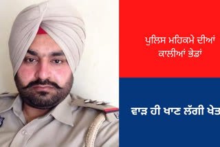 stf-arrested-hso-amandeep-singh-10-grams-of-heroin-recovered
