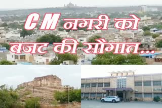 jodhpur news  budget 2020 news  rajasthan goverment budget  homeopathy college news