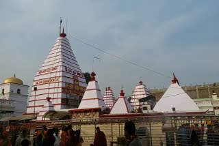 Preparations for Shiva marriage completed in Basukinath temple
