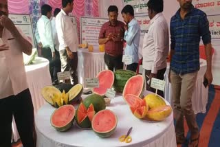 Fruit exhibition and sales in koppal