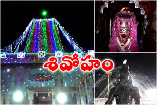 Maha Shivaratri in Kottappakonda