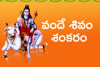 mahashivaratri-celebrations-in-thadipatri-bukkarayasamudram-kambaduru-amalapuram-at-ananthapuram