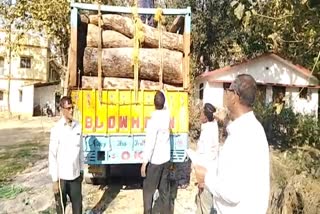 seized a truck loaded with illegal wood in ranchi