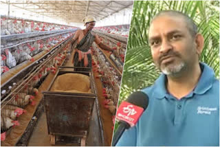 Suresh Chitturi  inish Indian poultry industry  പൗള്‍ട്രി വ്യവസായം  സുരേഷ് ചിറ്റൂരി  ചിക്കൻ ഇറക്കുമതി  അമേരിക്കൻ ചിക്കന്‍ ലെഗ്‌പീസ്  പൗള്‍ട്രി വ്യവസായവും പ്രതിസന്ധിയിലേക്കോ?