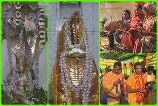 mahasibaratri-festival-at-subarnapur-full-of-devotee-in-siva-temple