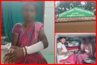 pregnant-women-and-old-women-beaten-by-lady-forest-guard-of-karangia-range