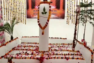 Mahashivratri at Brahmakumari vishvavidyaalay, महाशिवरात्रि ब्रह्मकुमारी ईश्वरीय विश्वविद्यालय शाहपुरा जयपुर