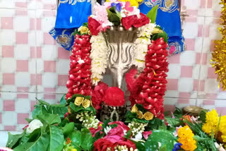 Crowds of devotees at Shivalayas on the occasion of Maha Shivratri