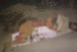 Mirza road accident, 1 dead