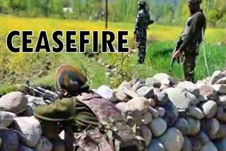 pakistan firing and shelling on poonch