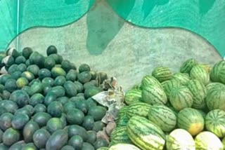 Increased demand for watermelon from summer and Shivaratri festival