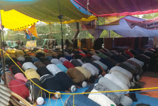 Watch: Shaheen Bagh protesters offer Namaz at the protest site