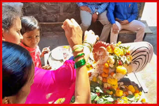 worship-of-a-cock-to-mahashivratri-in-kolhapur