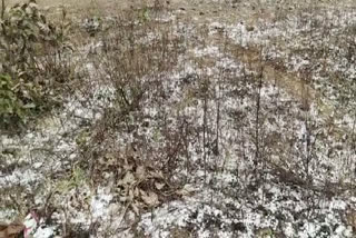 hailstorm rains in panna