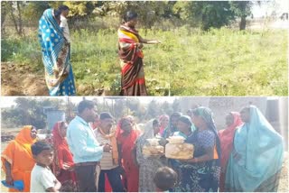 Rural women growing self-help by growing lemon grass in latehar