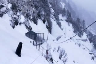 snowfall-in-kedarnath-on-shivratri