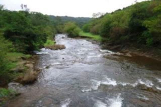 Mahadayi river water