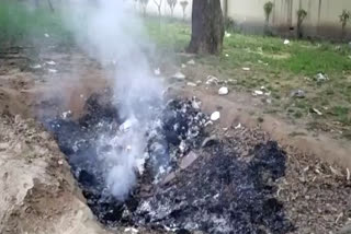 Garbage is often burnt in the park