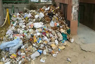 Park turned garbage house in delhi