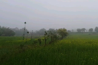 weather change in panna