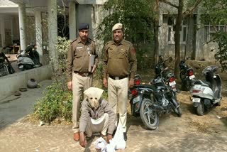 fatehabad police