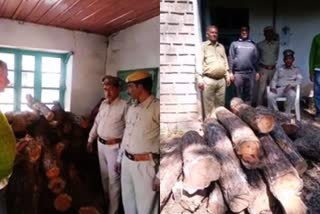 Forest Department caught 96 logs