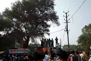 A young man climbed a tree after drinking alcohol