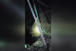 Woman fell into a well
