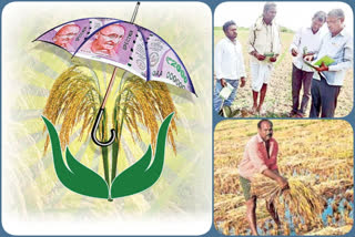 due-to-crop-insurance-dot-in-telangana