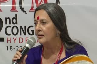 Amit Shah acting like 'hate minister': Brinda Karat
