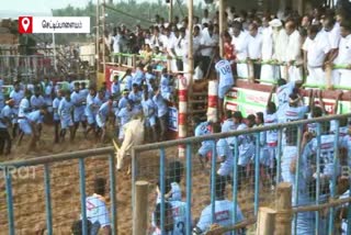 kovai-at-chettipalayam-minister-sp-velumani-inaugurated-jallikattu