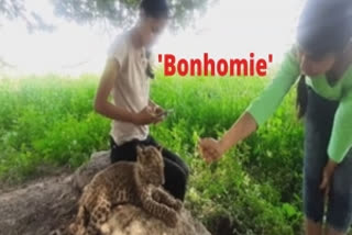 bonhomie