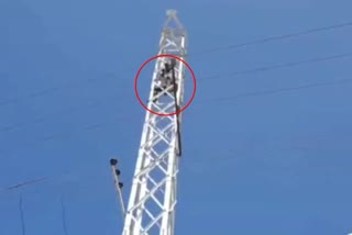 youngmen protest on electrical pole in kowdipalli