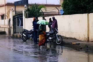 Farmers are losing crop due to rain in surajpur