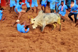 ஜல்லிக்கட்டு போட்டியை கொடி அசைத்து தொடங்கி வைத்த அமைச்சர்