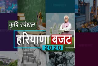 haryana budget 2020