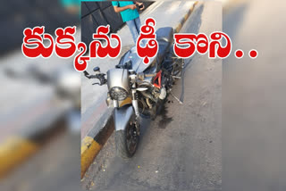 accident occurred in jubilee hills check post area Due to the dog blocking of road one person dead in spot