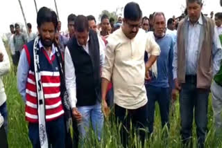 collector-arrived-in-seoni-to-inspect-the-fields