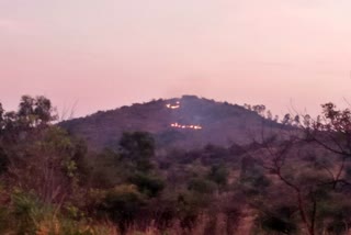 scrub-wildfire-at-chamarajanagar