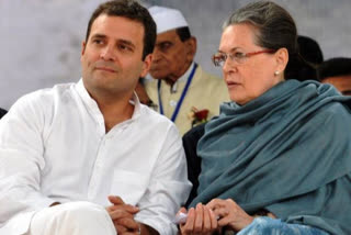 delhi violence : no place in country for communal ideology says sonia gandhi on delhi clashes