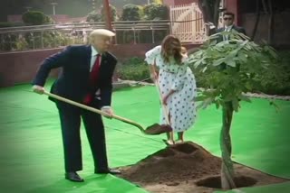 Trump plant a tree at Raj Ghat