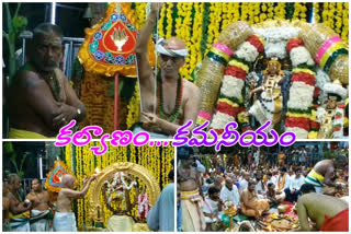 Sabhapati Kalyanam at Srikalahasti Temple