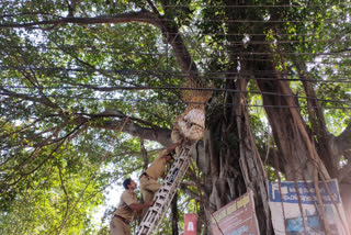 ചാല മാർക്കറ്റ് വികസനം  യുവാവ് ആത്മഹത്യക്ക് ശ്രമിച്ചു  ആത്മഹത്യാ ശ്രമം  കരിമഠം കോളനി സ്വദേശി  സി.പി ഹരി  Suicide attempt  Chala market  expansion of Chala market