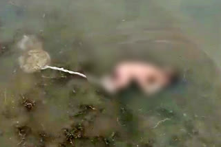 dead-body-of-baby-found-in-lake-in-yavatmal